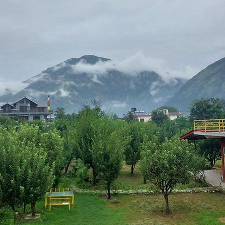 Gazing Moon Homestay Shamshi Exterior foto